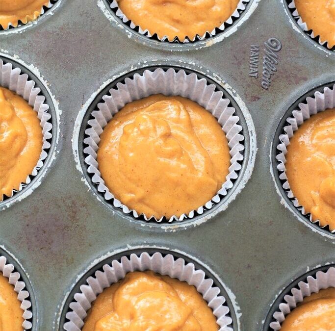 IMG_4482-683×1025 (2)