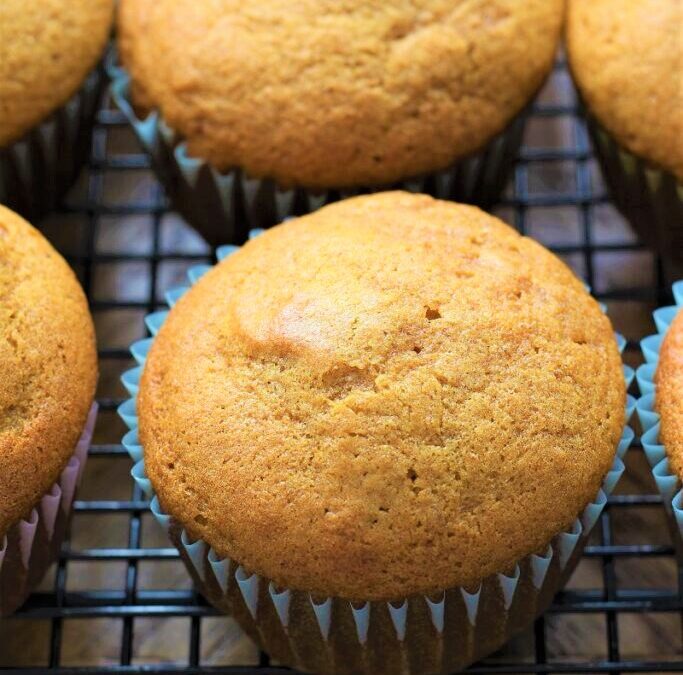 IMG_4485-683×1025 (2)