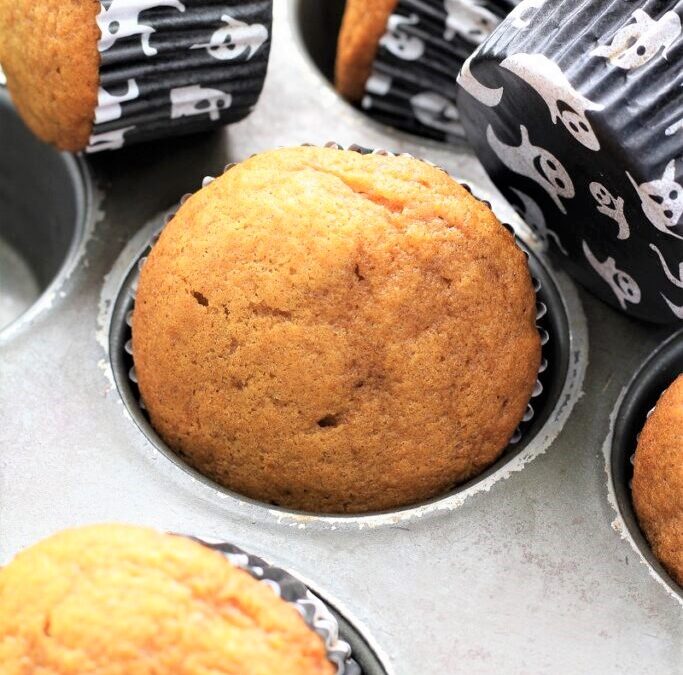 IMG_4507-683×1025 (2)