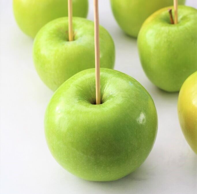 IMG_4745-683×1025 (2)