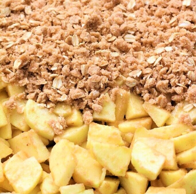 IMG_4926-683×1025 (2)