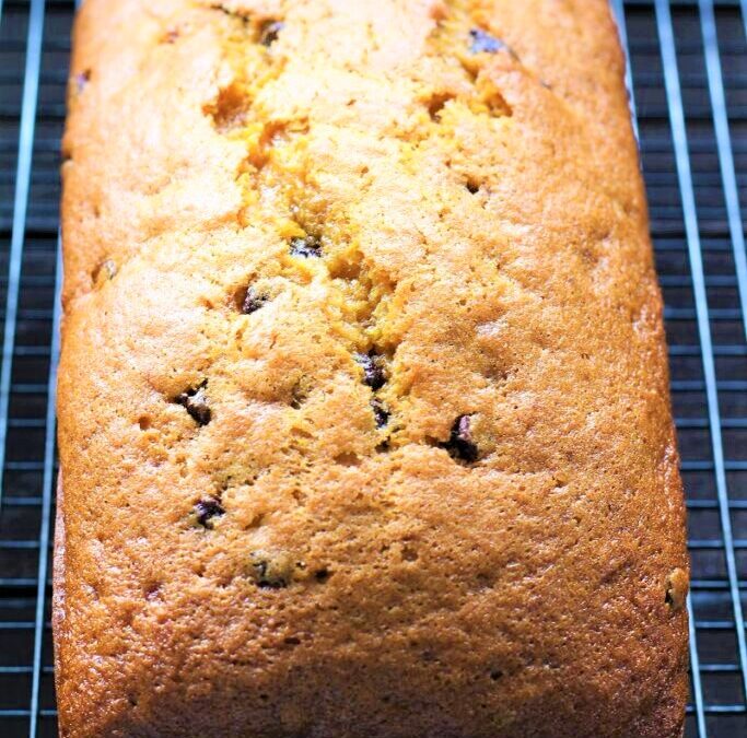 IMG_4970-683×1025 (2)