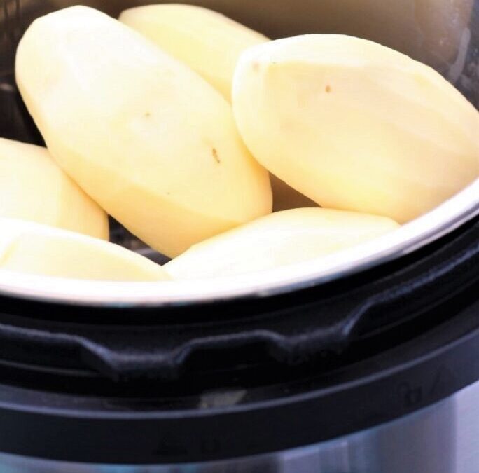 IMG_5173-684×1025 (2)