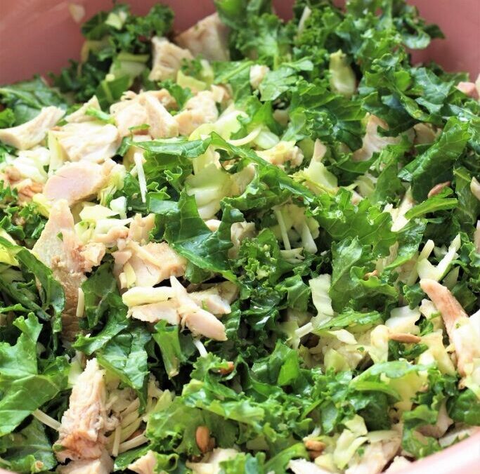 IMG_5225-683×1025 (2)