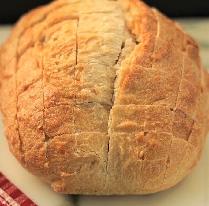 IMG_0176-683×1025 (2)