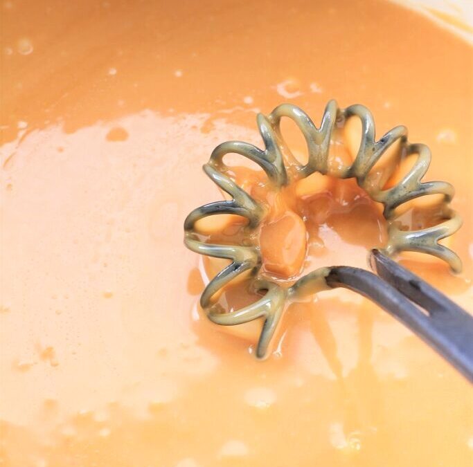 IMG_5253-683×1025 (2)