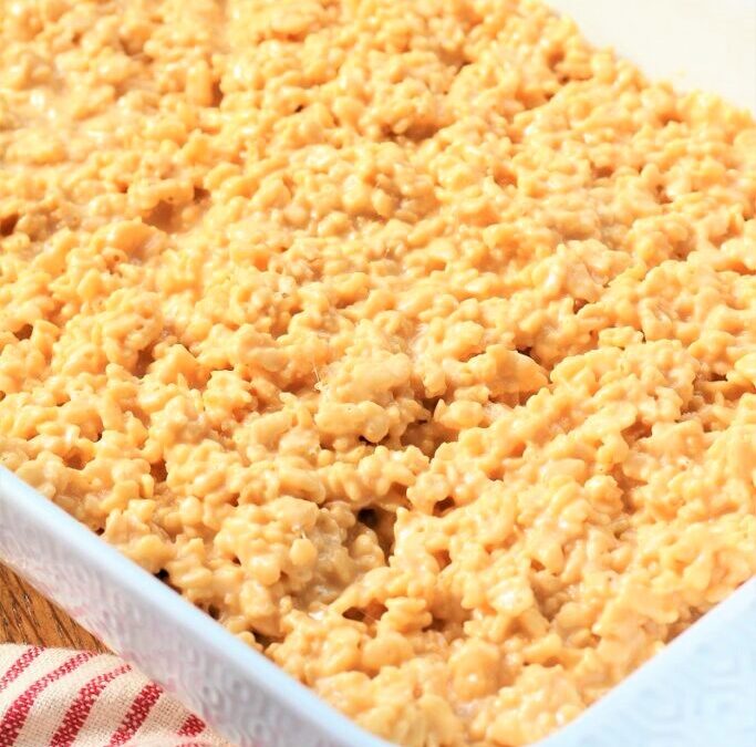 IMG_5275-683×1025 (2)