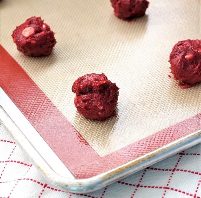 IMG_5356-683×1025 (2)