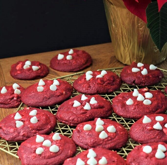 IMG_5369-2-683×1025 (3)