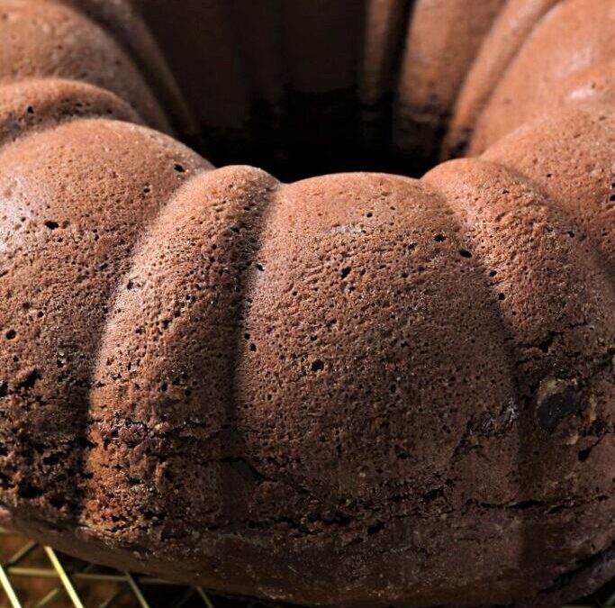 IMG_5400-2-683×1025 (2)