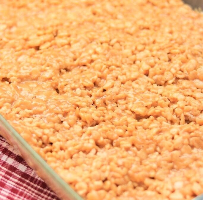 IMG_0366-683×1025 (2)