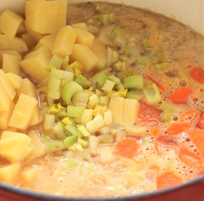 IMG_0672-2-683×1025 (2)