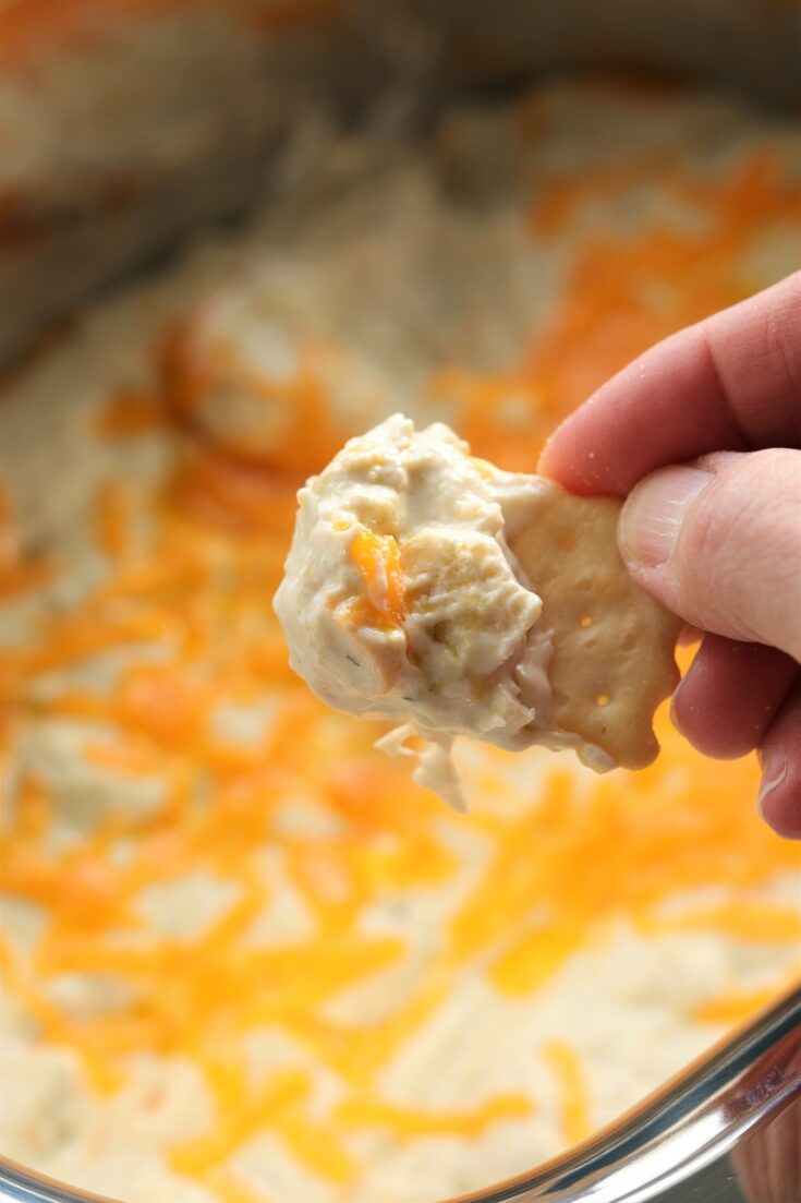 Easy Buffalo Chicken Dip