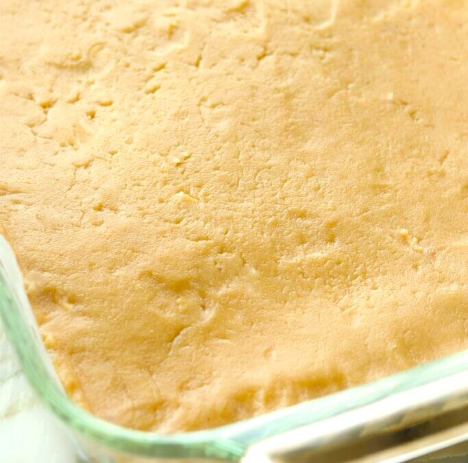 IMG_8495-2-683×1025 copy