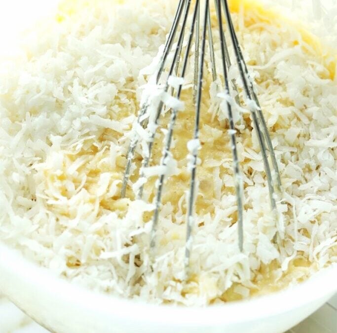 IMG_8497-2-683×1025 copy