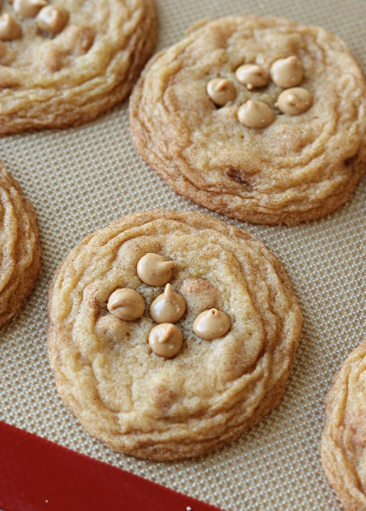 Cinnamon Chip Snickerdoodle Cookies