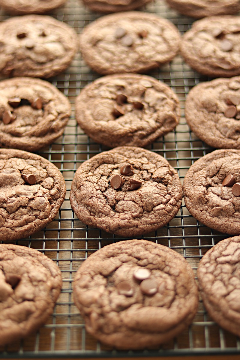 Double Chocolate Chip Cookies