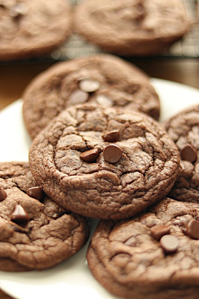 Double Chocolate Chip Cookies