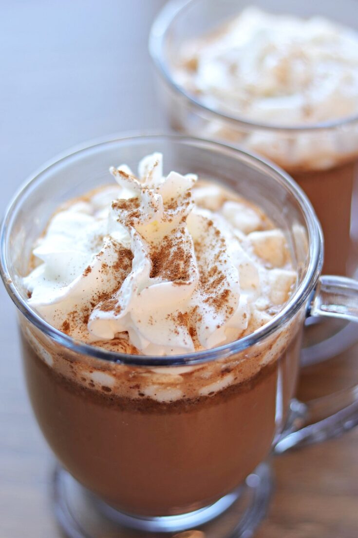 Crockpot Cinnamon Hot Cocoa