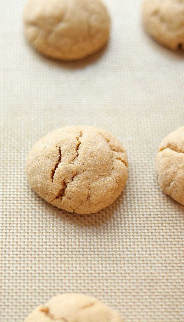 Peanut Butter Blossom Cookies Peanut Butter Blossom Cookies