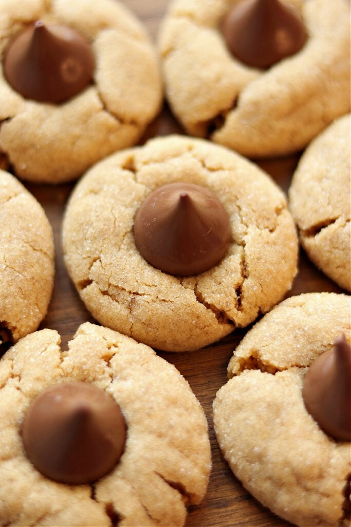 Peanut Butter Blossom Cookies Peanut Butter Blossom Cookies