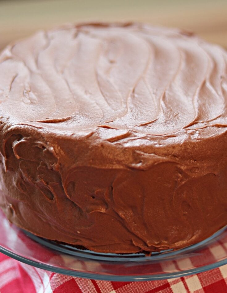 Delicious Paleo Chocolate Cake